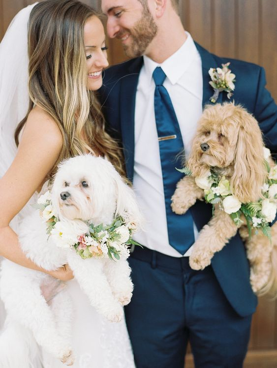 A couple shares a loving moment during their wedding, framed by warm natural light with their fur babies dressed in soft florals. Photo by Erin Wilson.